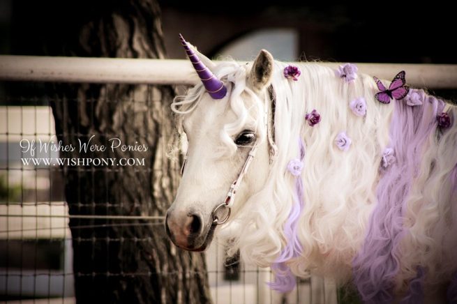 Classic Natural-Look Unicorn Horn™ for Horses and Ponies - Custom - Image 4