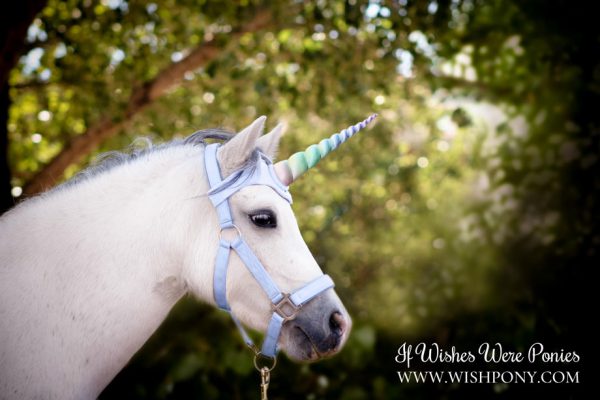 Rainbow Unicorn Browband for Horse Pony