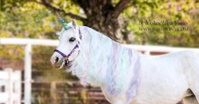"Twilight" Rainbow Unicorn Horn for Horses & Ponies - Made to Order - Image 3