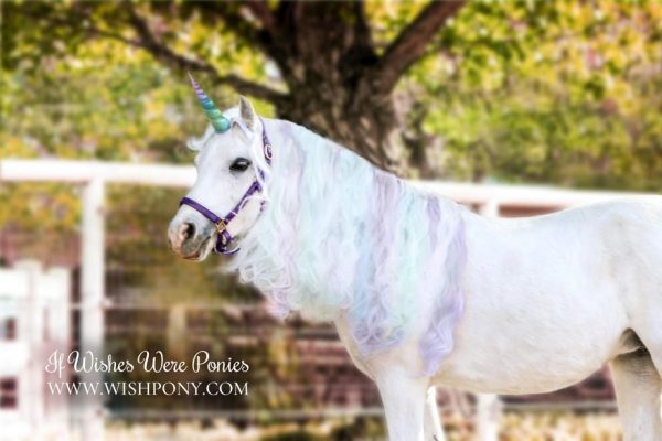 Rainbow Unicorn Horn for Horses Ponies