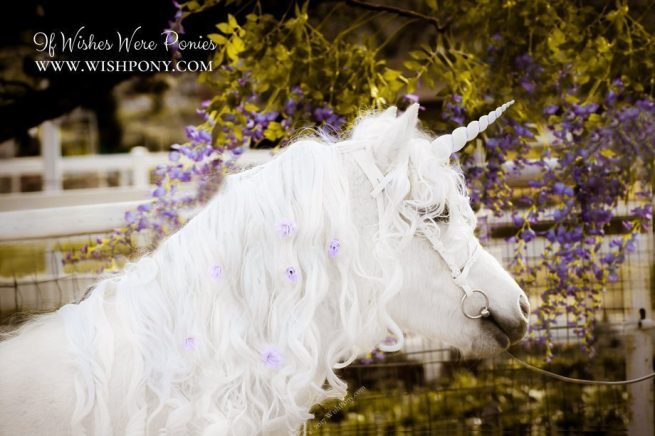 White Purple Unicorn Horn