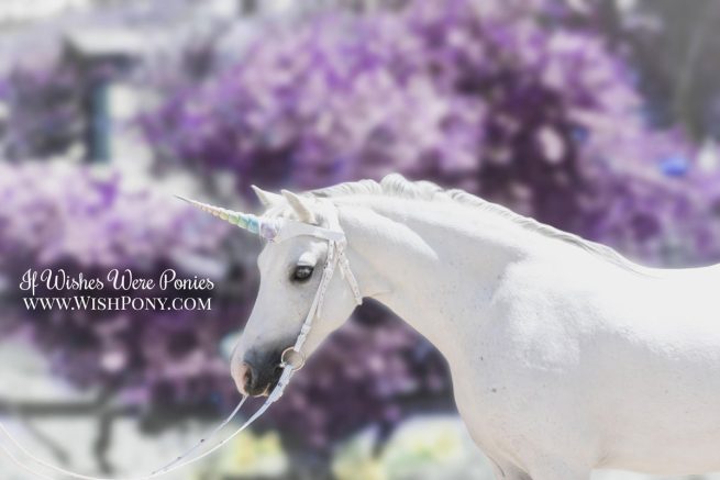 WishPony White Leather Rainbow Unicorn Browband for Horses & Ponies