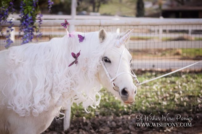 White Unicorn Horn for Pony