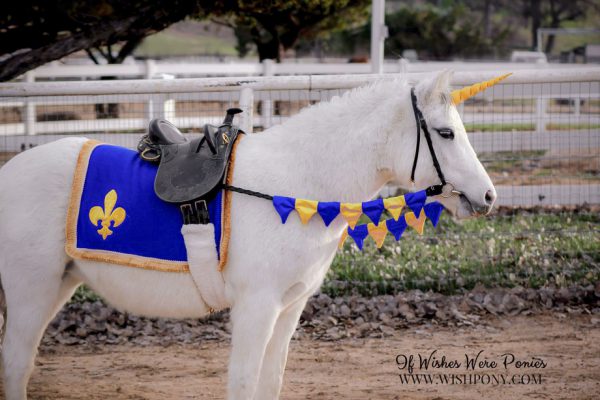 Fleur de Lis Saddle Blanket