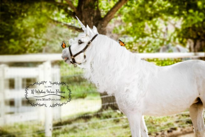 Silver Unicorn Horn and Butterflies for Horses/Ponies