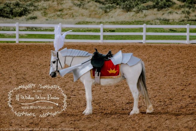 WishPony Armoury Rein Covers for Horses and Ponies - Custom - Image 3