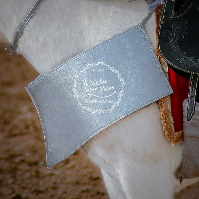 WishPony Horse Pony Costume Armour Pointed Breastplate