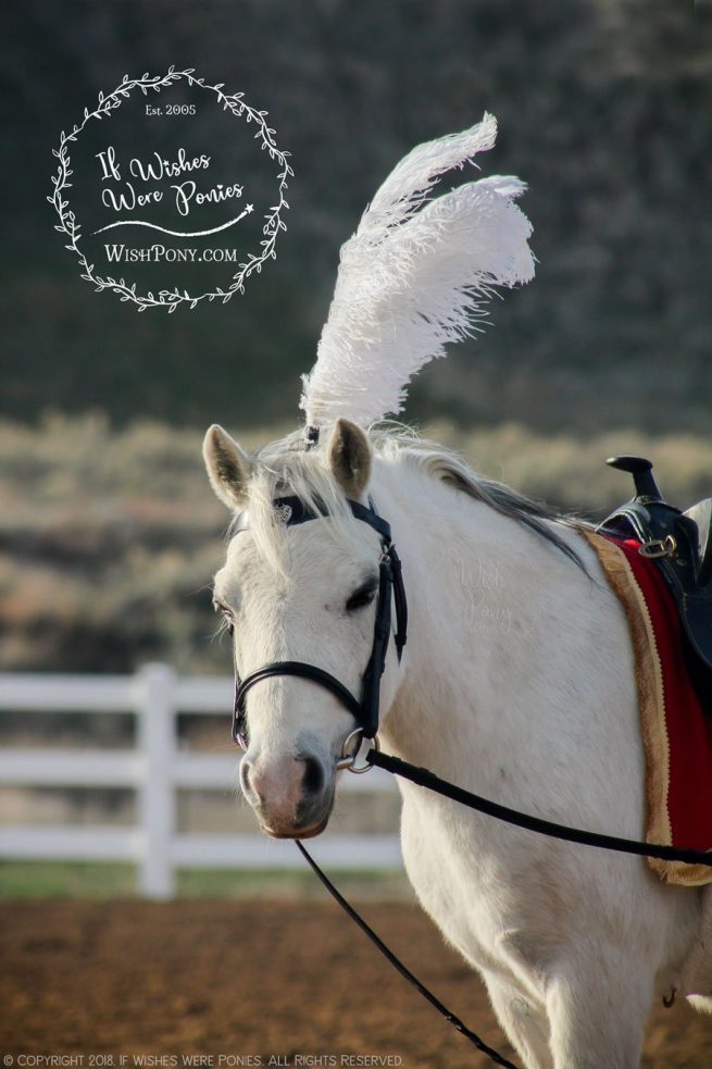 Safety Plume Holder for Bridles and Halters - Custom Colors and Feather Options - Image 3