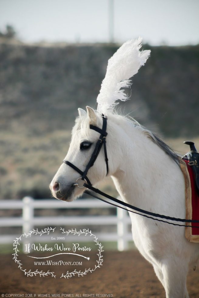 Safety Plume Holder for Bridles and Halters - Custom Colors and Feather Options - Image 5