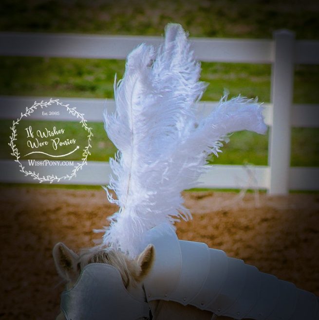WishPony Horse Armour Bridle Plume HOlder