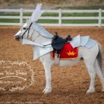 Steed armour costume for Ponies