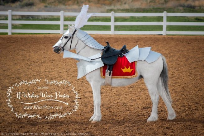 Steed armour costume for Ponies
