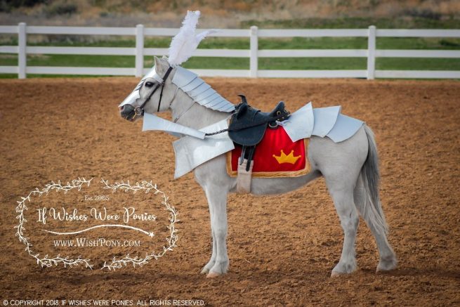 Horse Armour Costume
