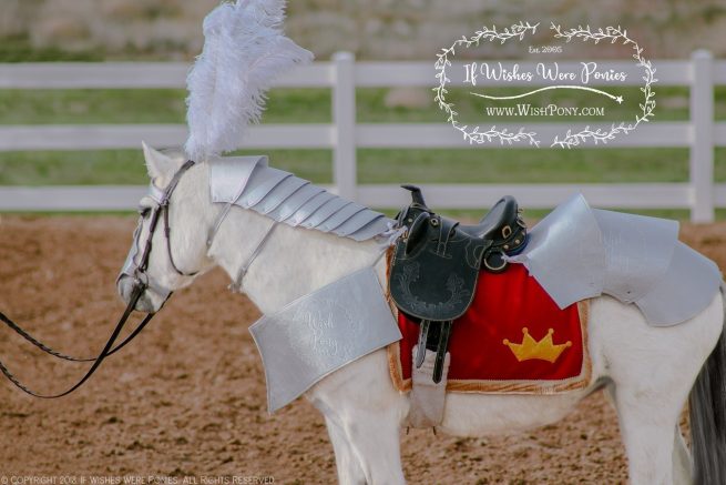 Medieval Horse Armour Costume
