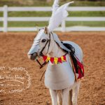 WishPony Medieval Pony Armour