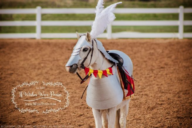 Medieval Horse Armour by WishPony