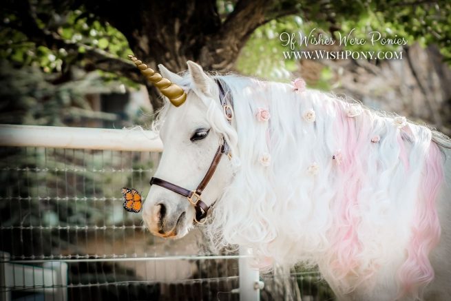 Gold Unicorn Horn for Horse/Pony