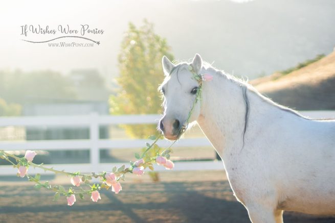 Rose Vine Bridle