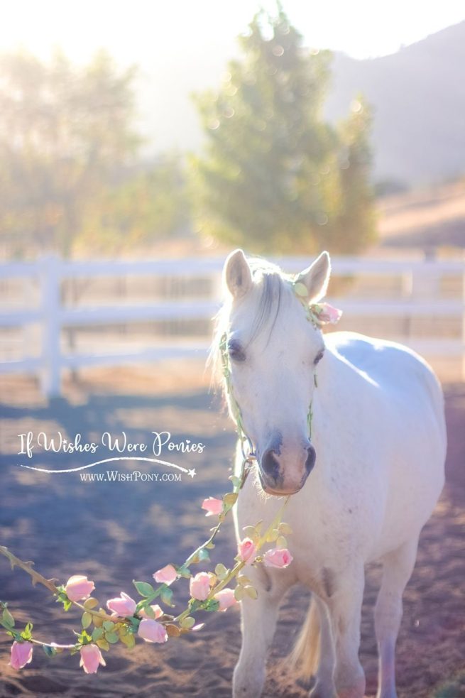 WishPony Rose Vine Bridle
