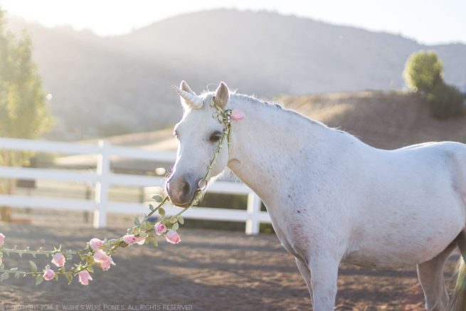 Leather Thorny Vine Bridle & Lead with Pink Roses - Special Custom Order - Image 3