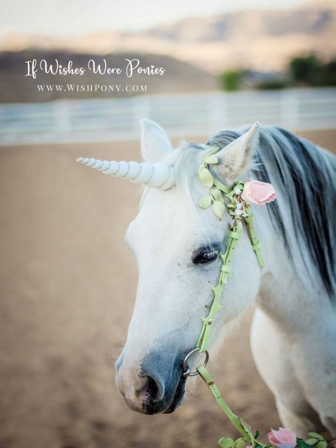 White Unicorn Horn for Horse/Pony