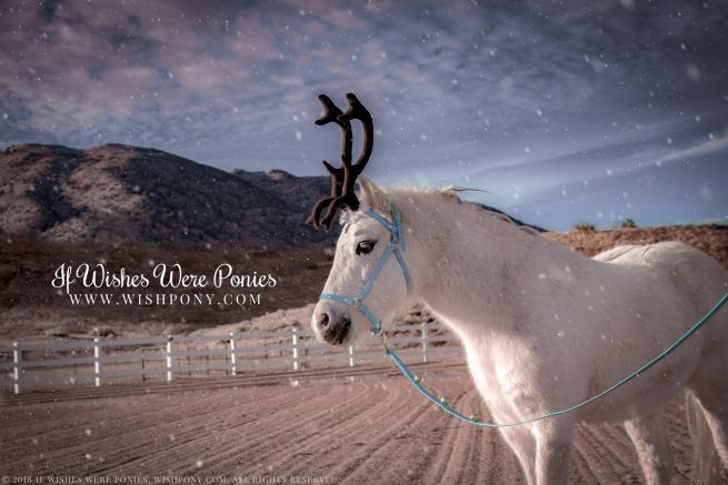 WishPony Reindeer Antlers for Miniature Horses & Ponies 2018