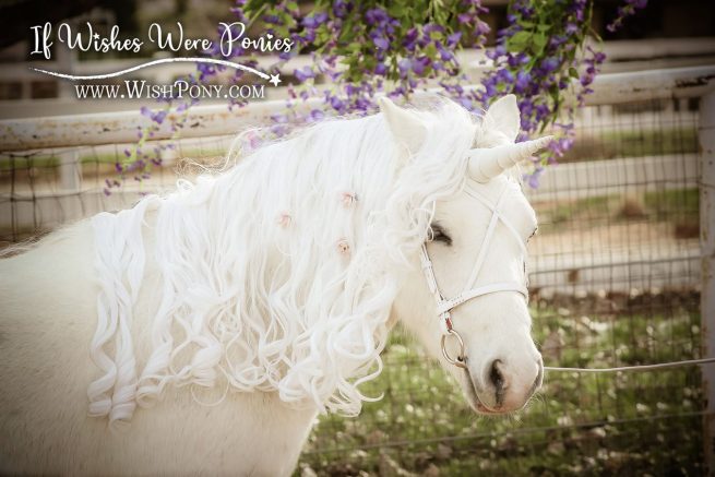 If Wishes Were Ponies Romantic White Bridle