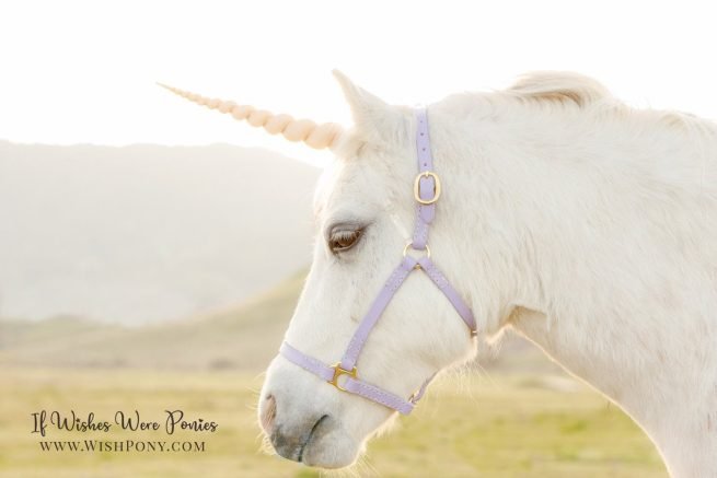 5.5" Champagne Contoured Natural-Look Unicorn Horn™ - Miniature Horse or Small Pony Size - Ready to Ship (Detachable Loops) - Image 2