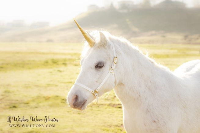 Gold Unicorn Horn for Horse Pony