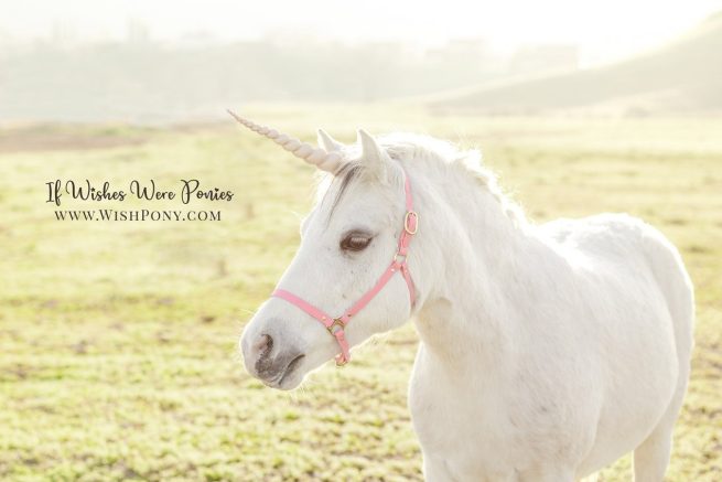 Pink Beta Biothane Breakaway Halter - Pony Size - Ready to Ship - Image 2
