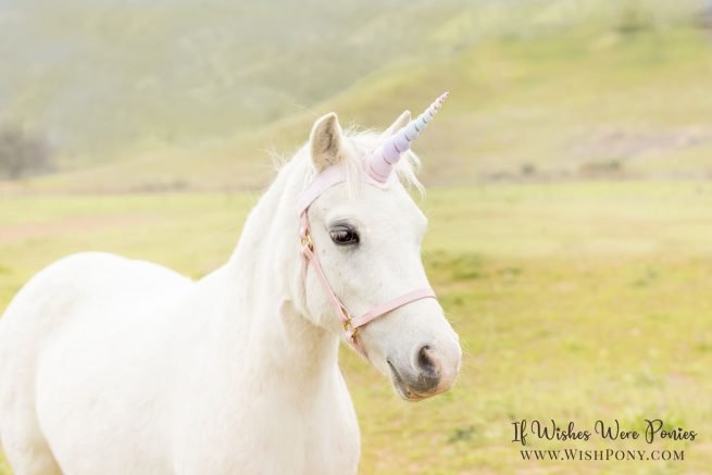 Wishpony.com Rainbow Unicorn Horn for horses and Ponies