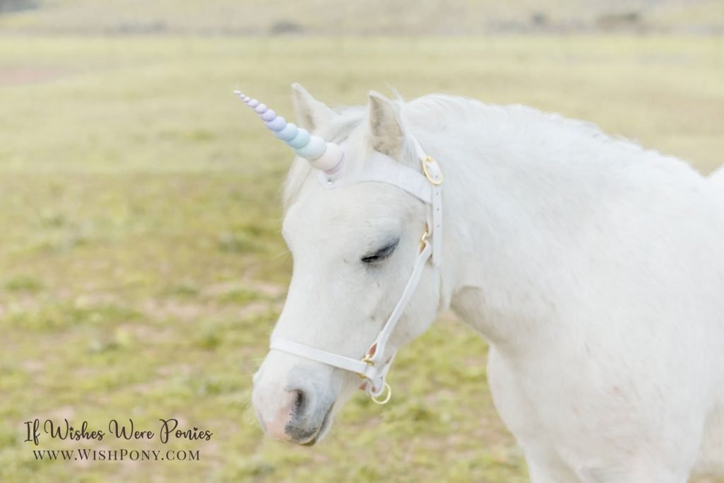 Wishpony Rainbow Unicorn Browband
