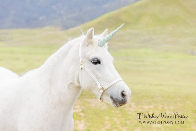 Mint Green Unicorn Horn by WishPony.com