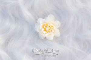 Cream hair clip for manes and tails