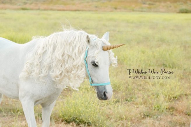 5.5" Antique Gold Matte Contoured Natural-Look Unicorn Horn™ - Miniature Horse or Small Pony Size - Ready to Ship (Detachable Loops)