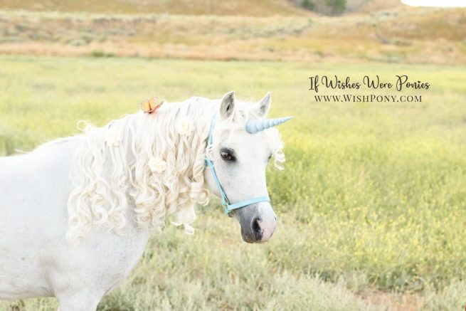 5.5" Sky Blue Contoured Natural-Look Unicorn Horn™ - Miniature Horse or Small Pony Size - Ready to Ship (Detachable Loops)