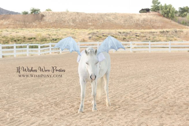 Wishpony.com SIlver Dragon Wings for Horses and Ponies