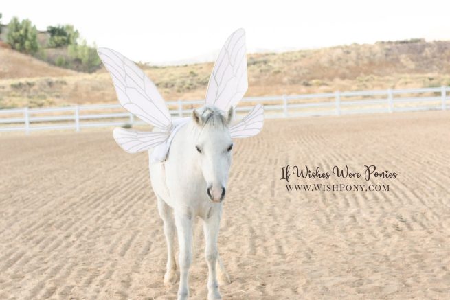 Pale Pink Fairy Wings for Horses and Ponies by Wishpony.com