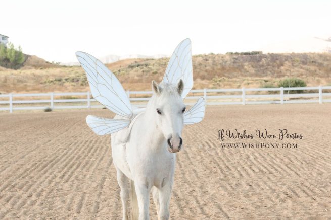 Pale Blue Fairy Wings for Pony or Small Horse -approx. 26" long - Ready to Ship