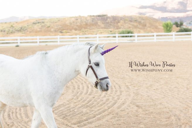8" Purple Matte Contoured Natural-Look Unicorn Horn™ - Miniature Horse or Small Pony Size - Ready to Ship (Detachable Loops) - Discounted