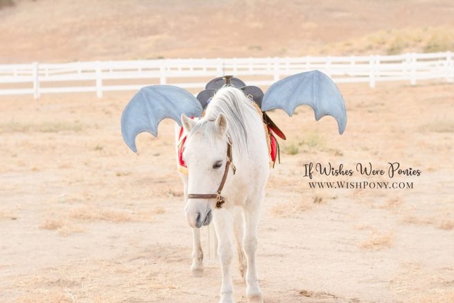 Wishpony.com Metallic Blue Dragon Wings for Horses