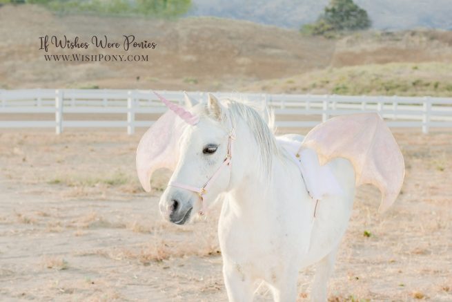 Wishpony.com Pink Dragon Wings and Unicorn Horn (sold separately)