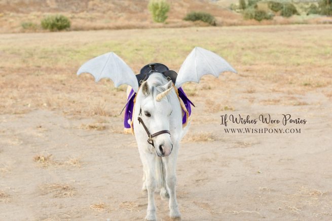 Wishpony.com Platinum Dragon Wings for Horses
