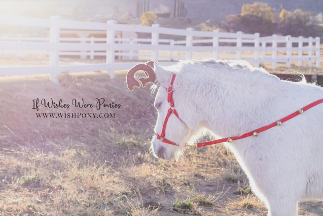 Reindeer Antlers on Leather Browband For Miniature Horse, Pony, or Cob (Custom) - Image 2
