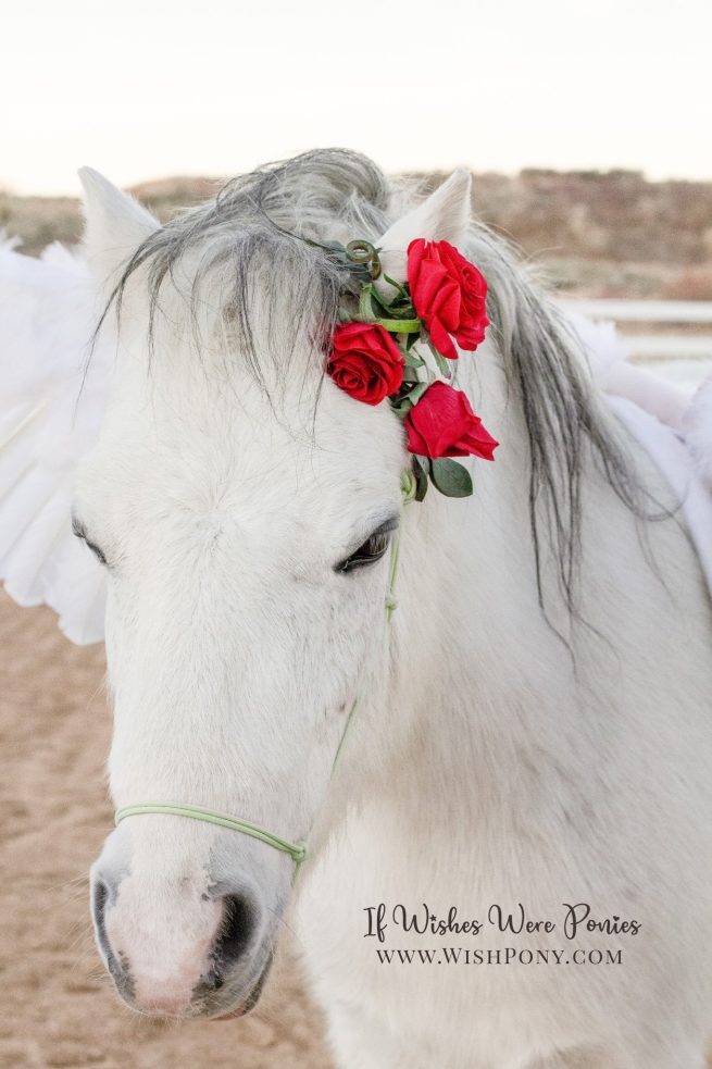 Thorny Rose Ear Loop for Horses and Ponies