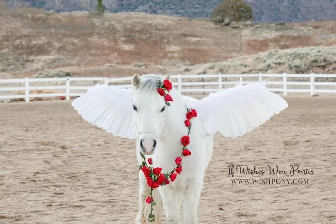 Pegasus with Rose Vine Lead and Ear Loop