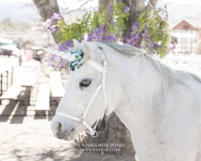 9" White Horn w/ Navy & Baby Blue Flowers Pony Size 14" Economy Unicorn Browband™ - READY TO SHIP
