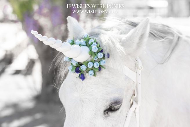 9" White Horn w/ Navy & Baby Blue Flowers Pony Size 14" Economy Unicorn Browband™ - READY TO SHIP - Image 2