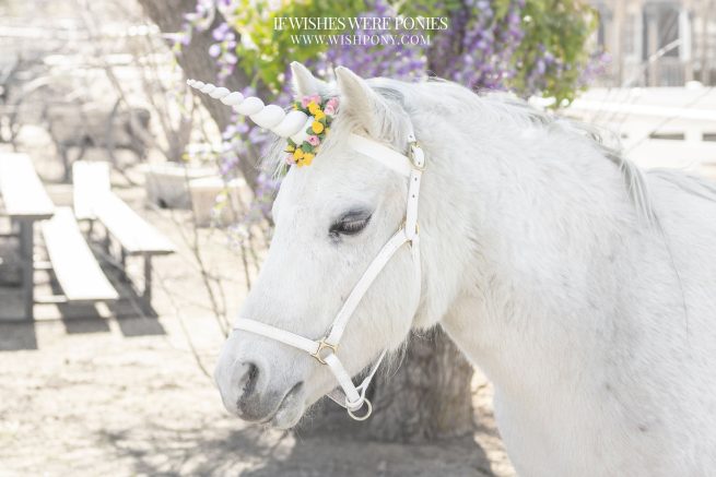 8" White Horn w/ Pink & Yellow Flowers Pony Size 14" Economy Unicorn Browband™ - READY TO SHIP