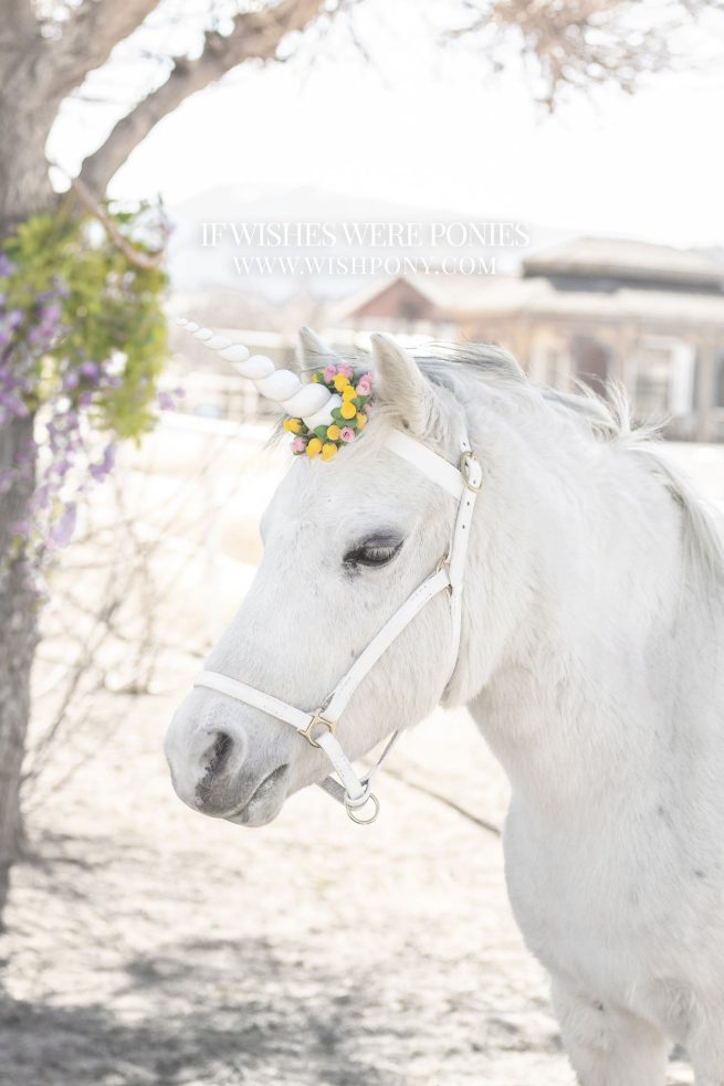 8" White Horn w/ Pink & Yellow Flowers Pony Size 14" Economy Unicorn Browband™ - READY TO SHIP - Image 3